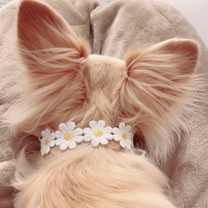 86c6cfe3 2f03 49ea a407 65189c91516d 1712669415913