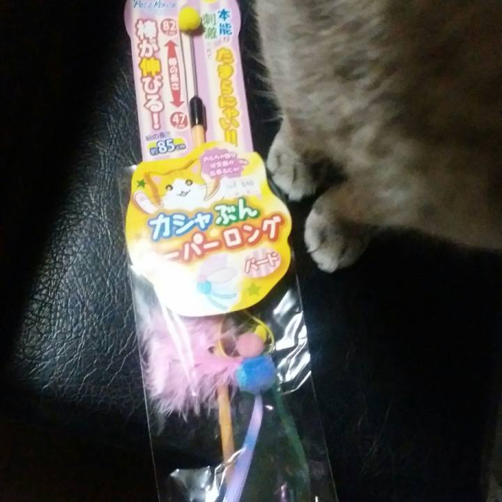 86c6daac 37b4 4620 a765 c8443b98148e 1520119912697