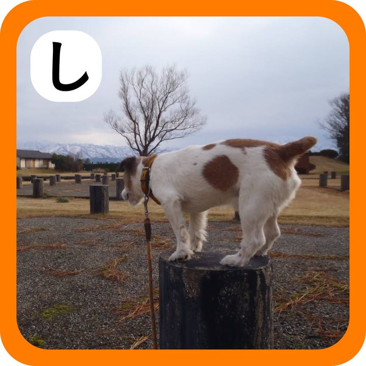 86c6f956 e1d9 407f 96d9 a4cf640eef49 1515162107652