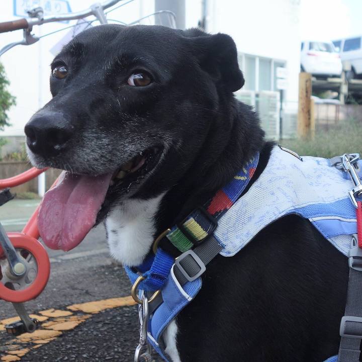 86c70db2 f812 4640 a89a d8746c4f440d 1692664102058