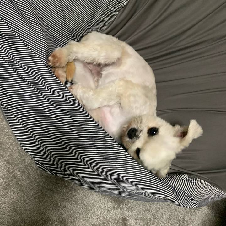 86c71664 f503 4aee 82c2 0bd37f1cba4f 1602674377439