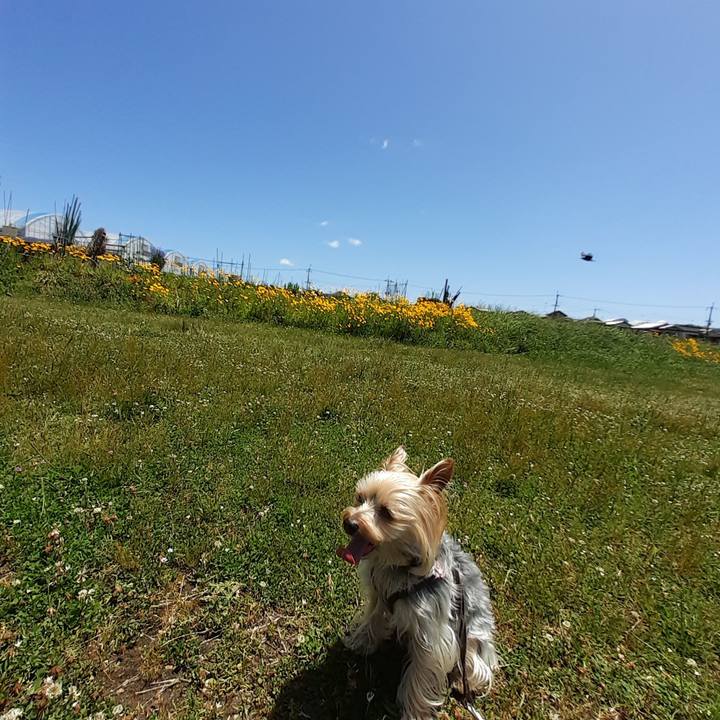 86c720ac 92a9 417c 9f12 9922e50951a8 1684895414585