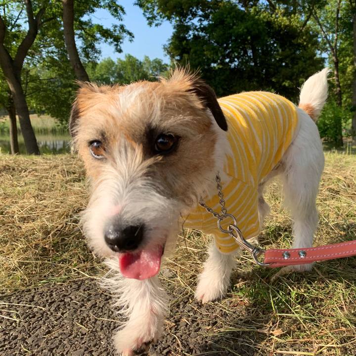 86c7caa7 cf71 4be6 aabd 02df42691a4f 1590830405802