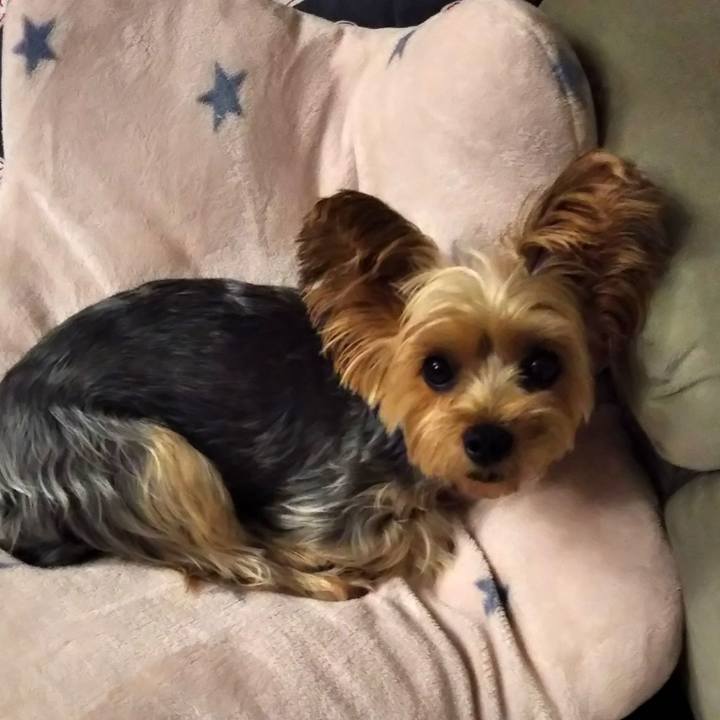 86c86161 ecf3 46ed 8c1a 9798047ade5a 1633959262270