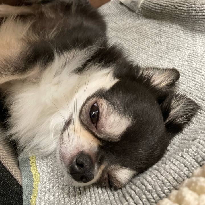 86c88776 0852 4b2f 92d0 caf57a4d4f5c 1658582913772