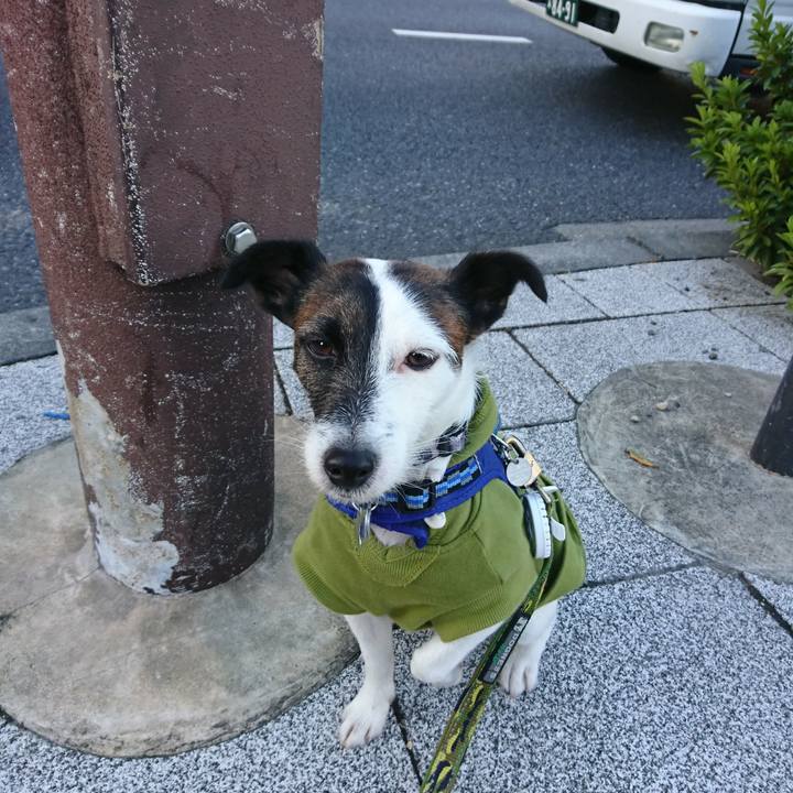 86c88e1d 0899 4d23 a99a c8bcef4b6531 1511218602184