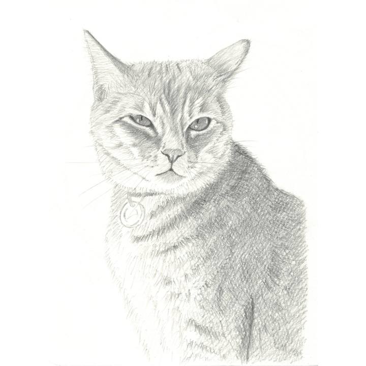 86c8b465 009f 4d41 ab3b 72f9f749339a 1538570076019