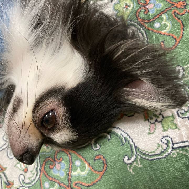 86c8bab5 127c 41b0 931e 32b33428fc11 1667483083967