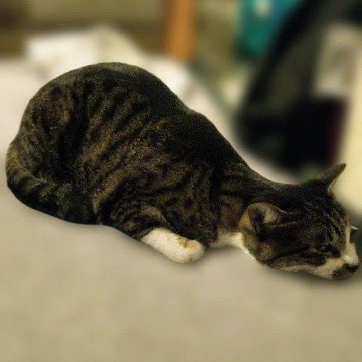 86ca105a 8bd2 405e aca6 1aa38094c330 1762145710144