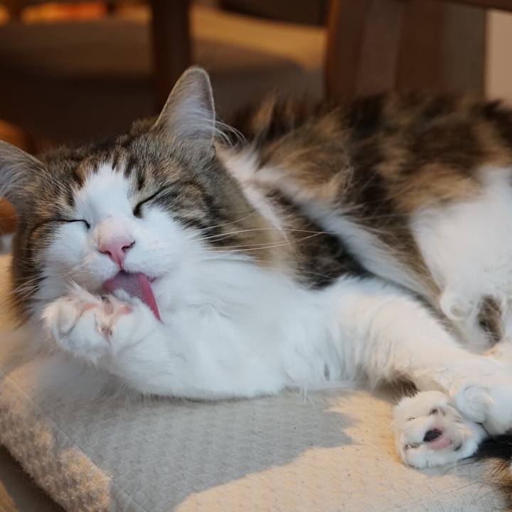 86ca2d21 b2d4 4a1c 8534 55b28d55fe4c 1556096785200