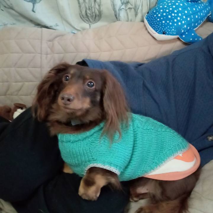 86ca57ca 132a 46be 8b7b a22772e67fcd 1771116351485