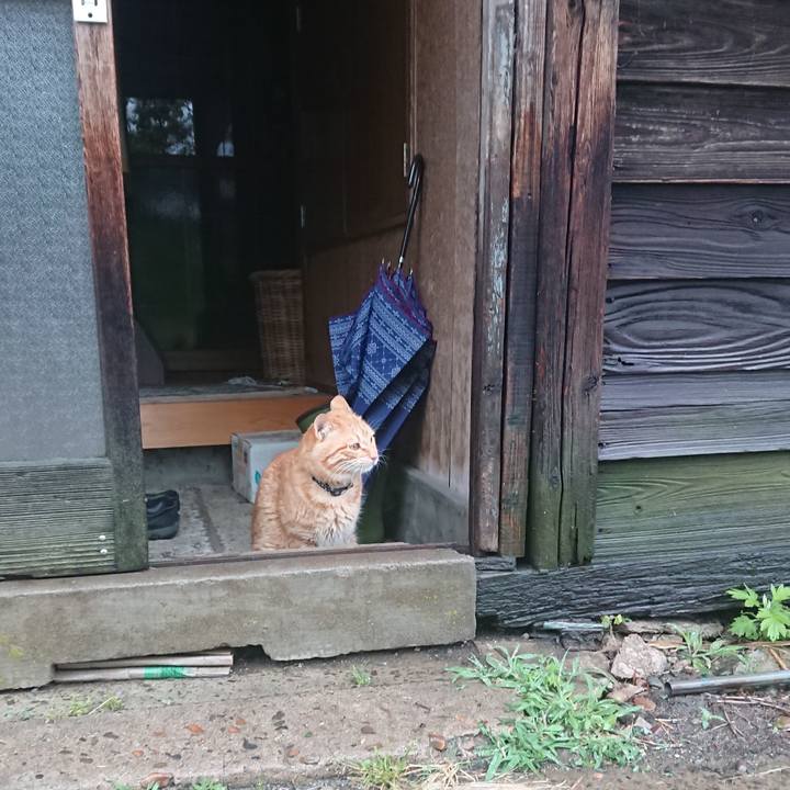 86ca853f 3ade 4f4c 9ad7 131b8970b3c4 1654548827254