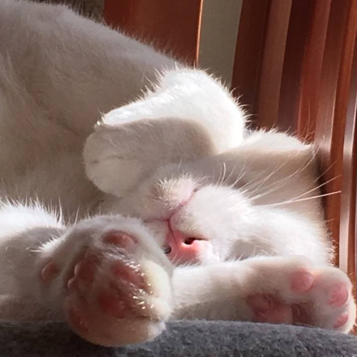 86cb0d50 2a89 43e6 a7a2 2e3eceb3e7ca 1612412836267