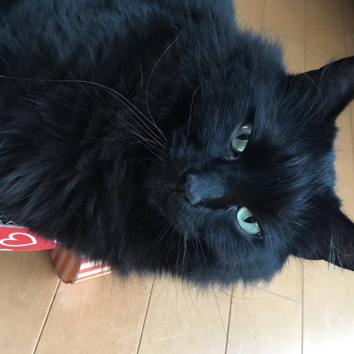 86cb1524 fa3b 4ce2 aff3 6010013a9176 1529303225058