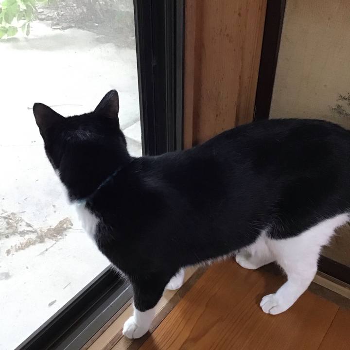 86cb389d 3d48 4174 bded 23cb04a63da4 1754905584258