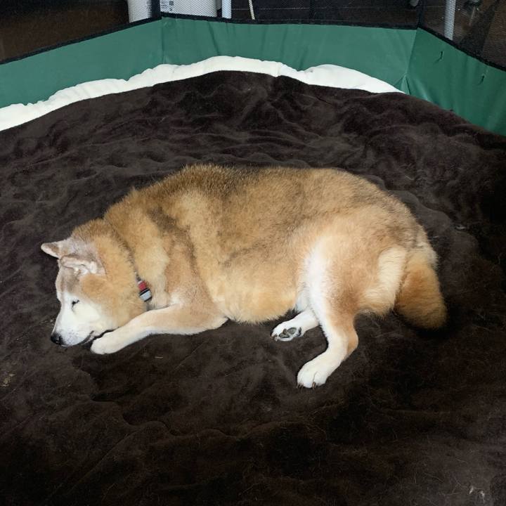 86cb472d 0bac 4eca a361 cb123d1a55d0 1690021036802