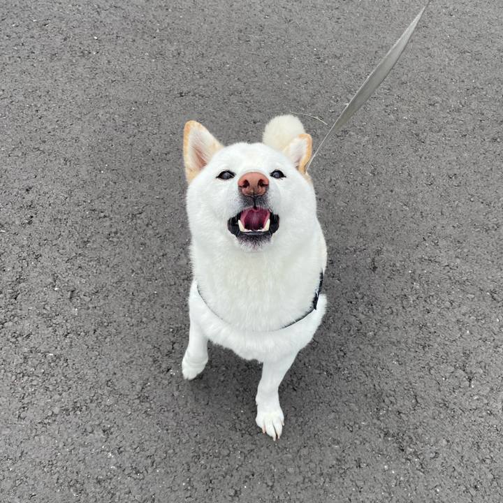 86cb8c1c b9b3 4b71 a831 8838df99c3dc 1662854718329