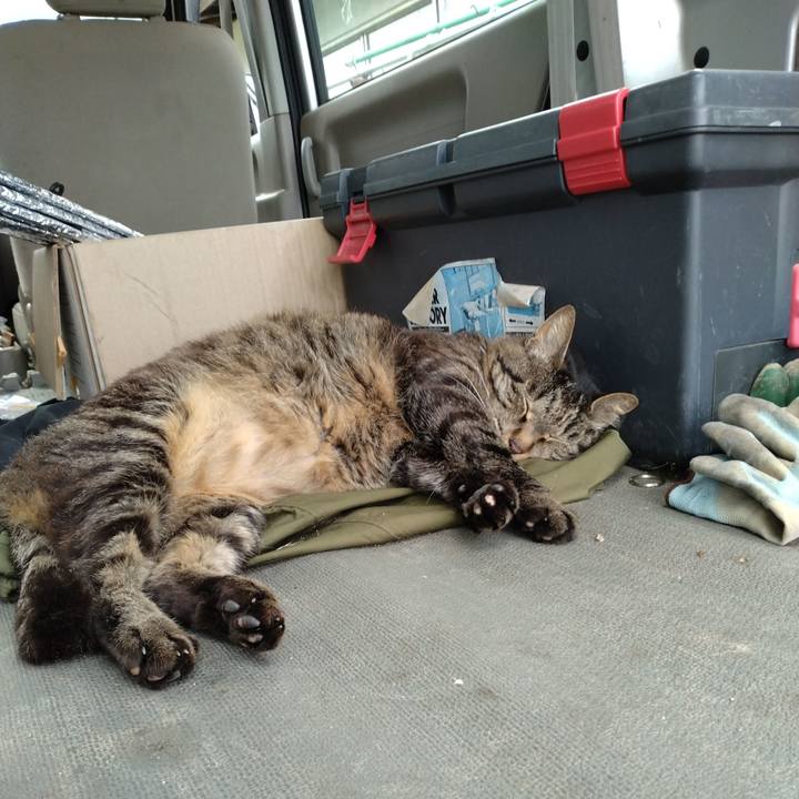 86cbcd6d fe5c 4472 b7ec df3b3062d354 1721118846187