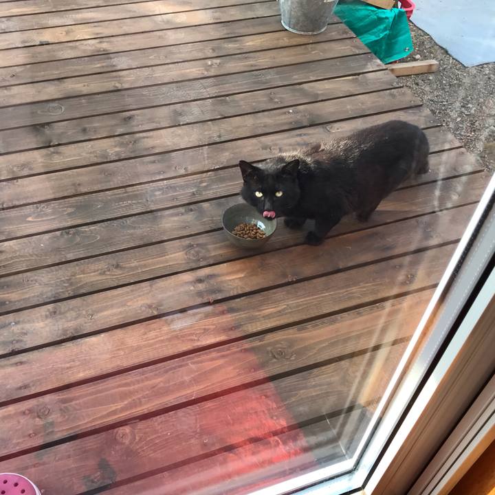 86cbd3ae f3a1 48d0 90eb 9f9b8b09f757 1626383827427