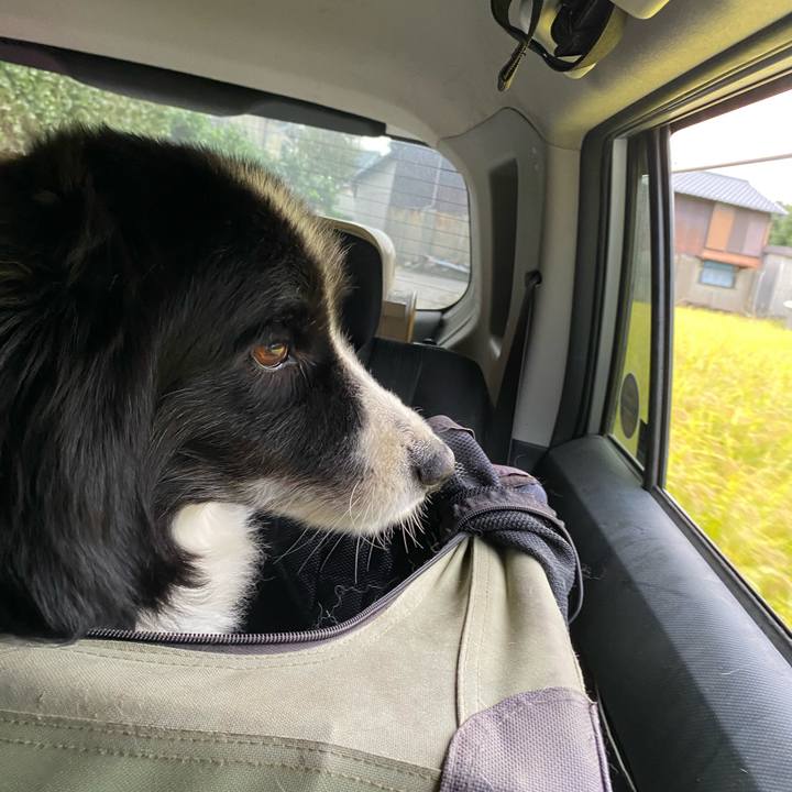 86cbdd98 2327 4093 b055 88ef24886d33 1665180488883