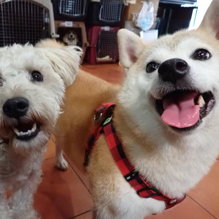 86cc01ad 1d7b 4ac7 a84a 1312f6d9c696 1728794272676