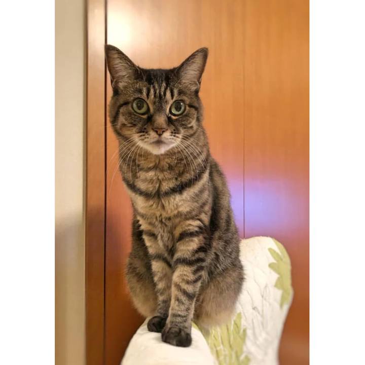 86cc6ae1 c23c 4842 a71d 0211a6d60013 1761041194178