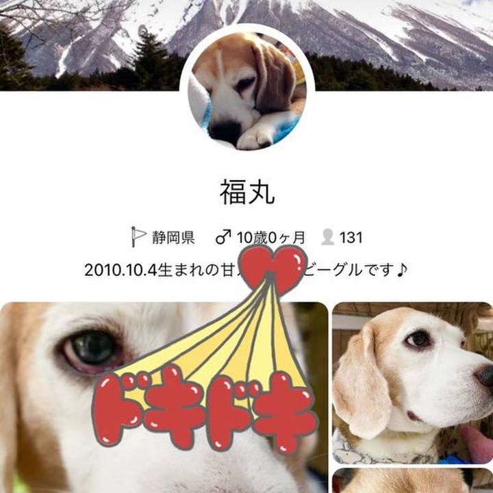 86cc8721 ac7f 47f3 86e0 6bbbe41bc0ff 1601770849289