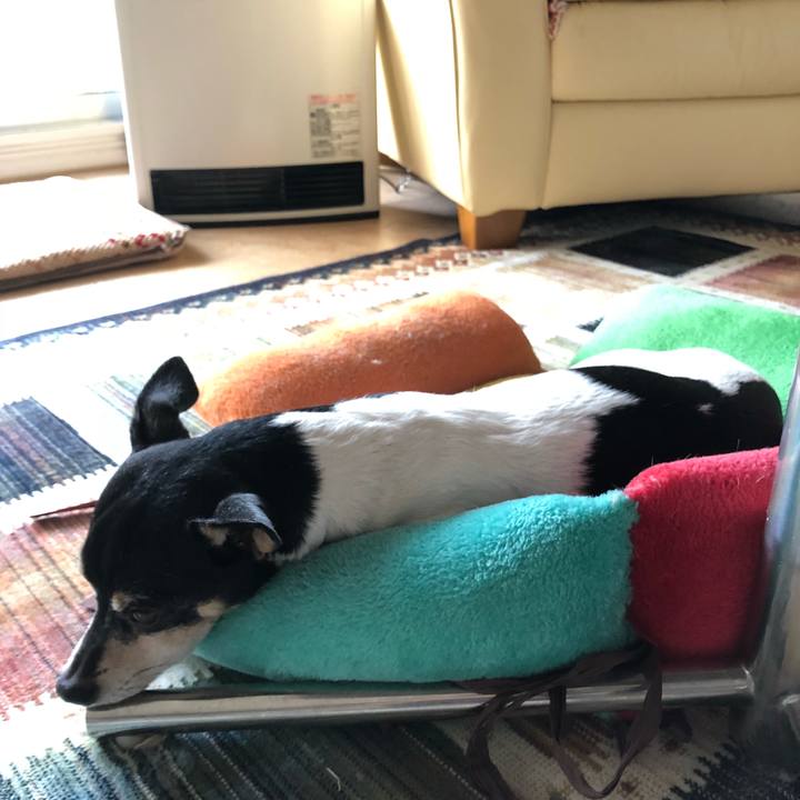 86cca112 7476 4f00 ba4e bff21756a289 1520293496017