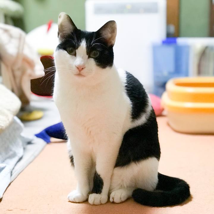 86ccbd64 a862 4397 9b80 fd3efe0e0c97 1513128477920