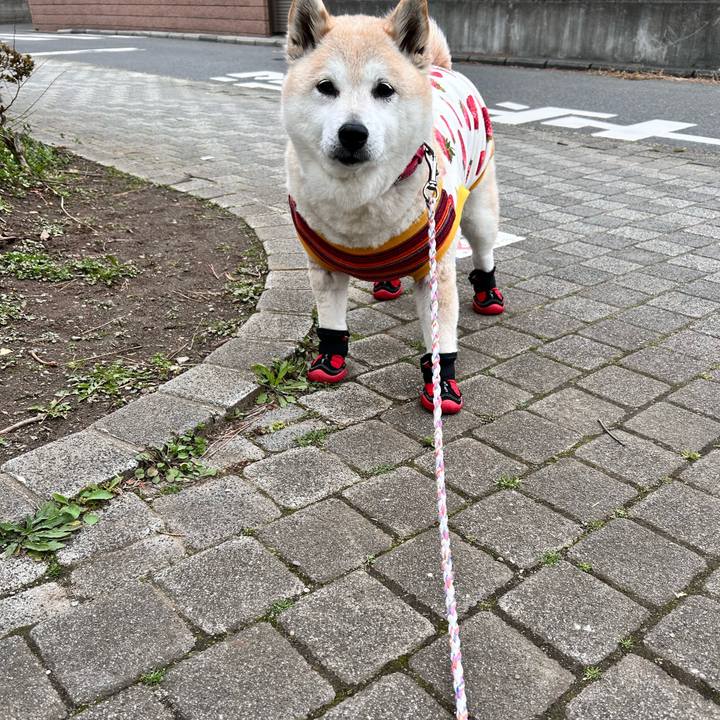 86cccbc6 d694 4f66 9f69 75cba77aaffc 1742020913938