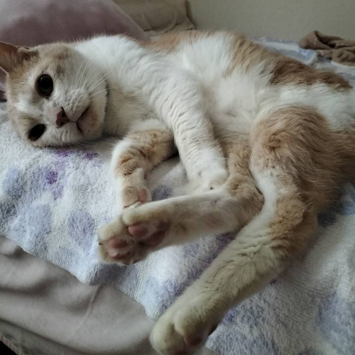 86cd3d83 a235 411b aa9c c56eec10f429 1663888375545