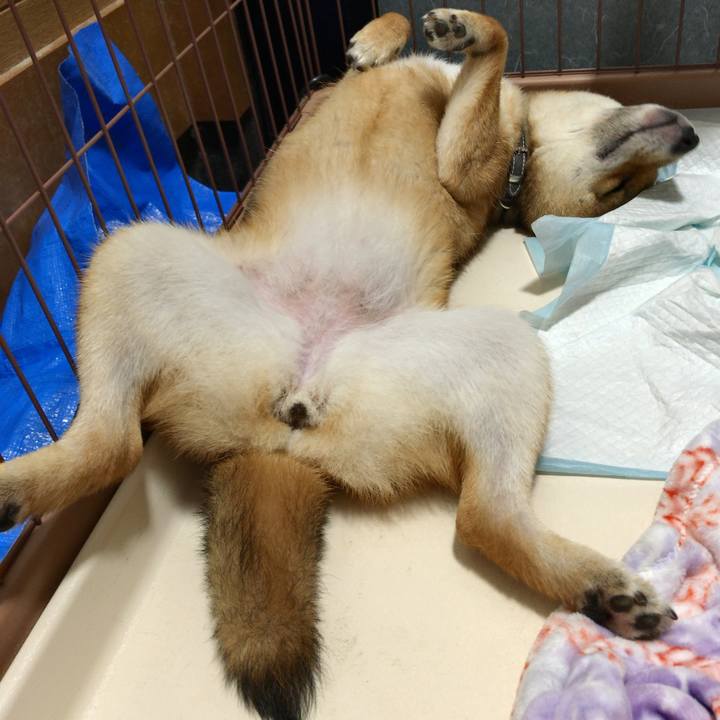 86cd72f7 b2c8 4b58 a2e3 80fba715b481 1526653772470