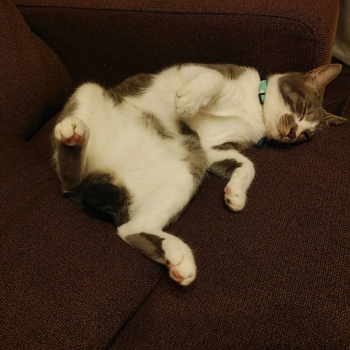 86cd7c47 4e20 4ed5 82e2 31aa4c87e6c5 1593185517725