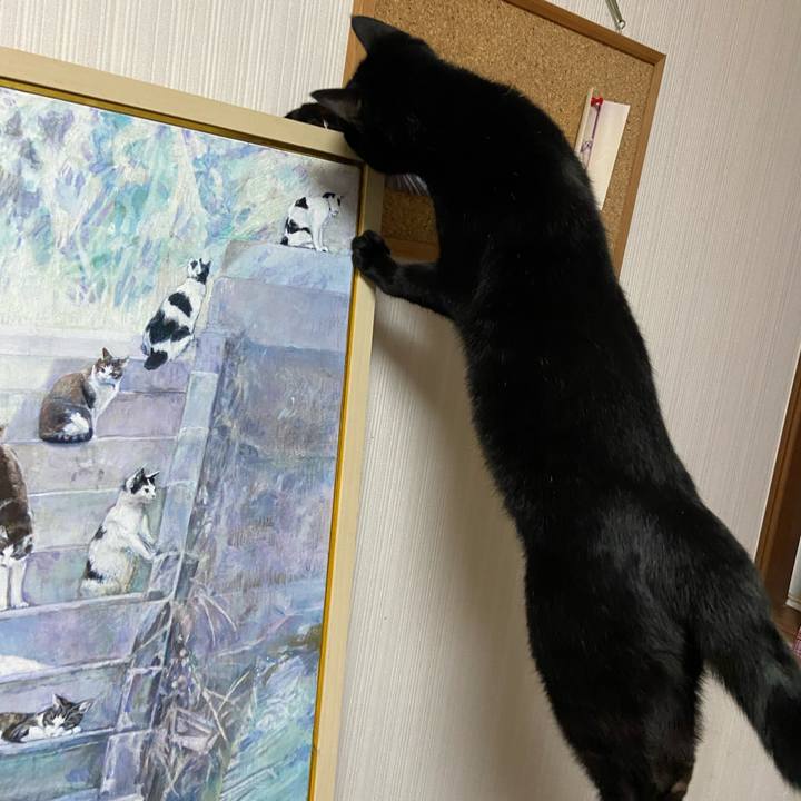 86cd800d de2b 45ee 885e 8726f6e70a0b 1635592408514