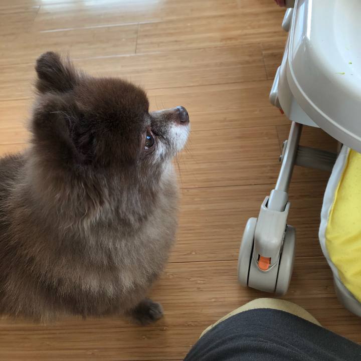 86cdc0a2 7fbf 41d5 ba6f 2d7e51192b83 1578113167471