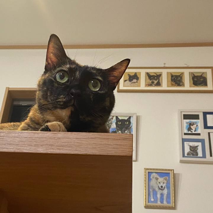 86cdd530 ac6e 4b2a b6b3 b82f091fcb76 1728052640651