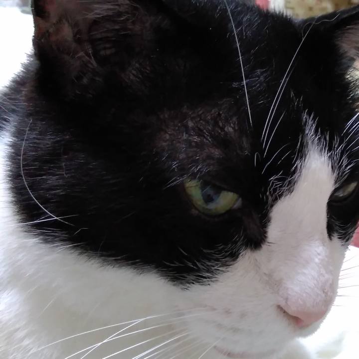 86cdf164 7928 4286 86ce 144ec10a01b9 1596463811012