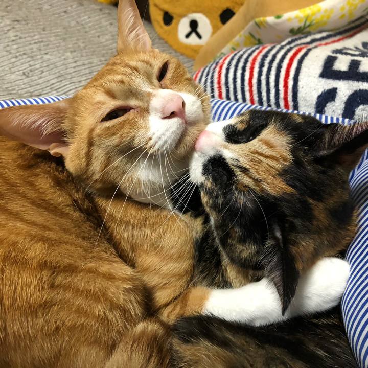 86ce1b59 49b2 434c a2e6 edf917b18112 1566989118607