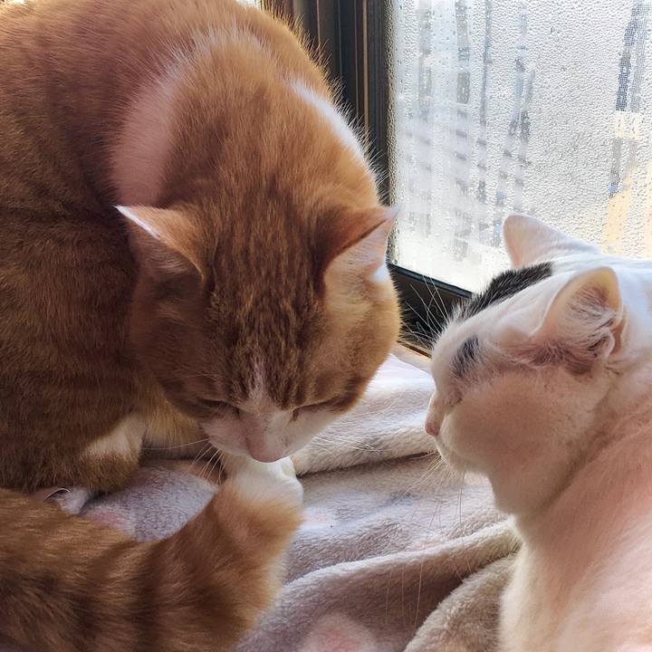 86ce2a88 5b42 4029 8361 8f5ac2f01028 1614824168522