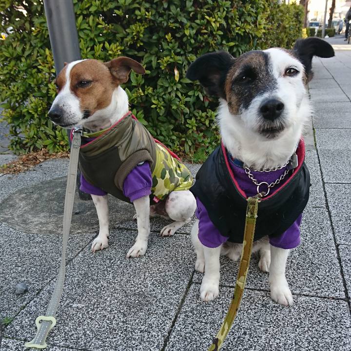 86ce47cf b361 4bbb 834c 2367070b88d6 1613948510370