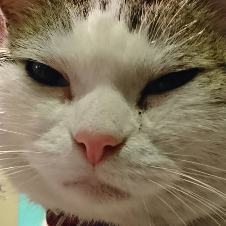 86ce4885 abd7 475c 8068 736a85264f4d 1518952470195