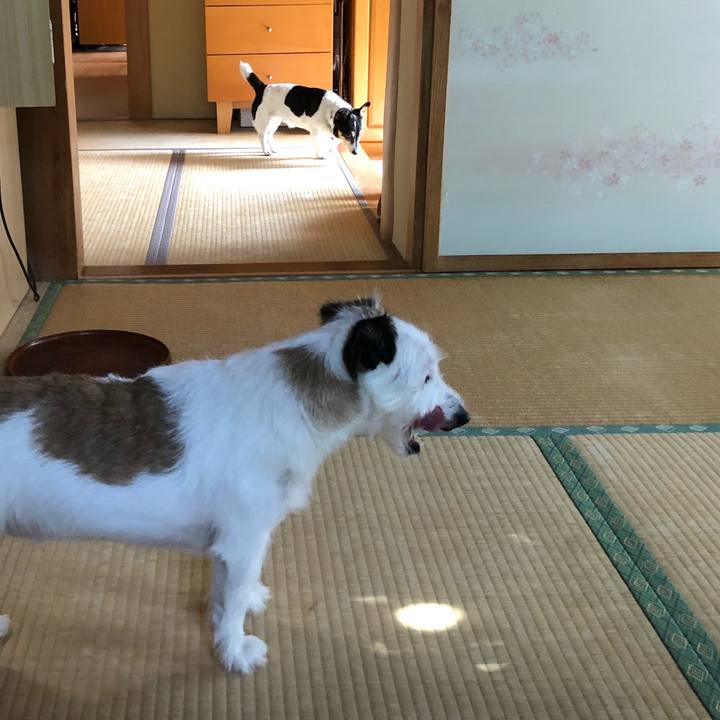 86ce6aae abd0 40aa 816e be3a5eaea70d 1537230681546