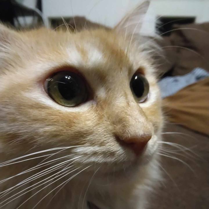 86ce91ef a0d5 4cde 9707 4fb9e543ade6 1696505686571