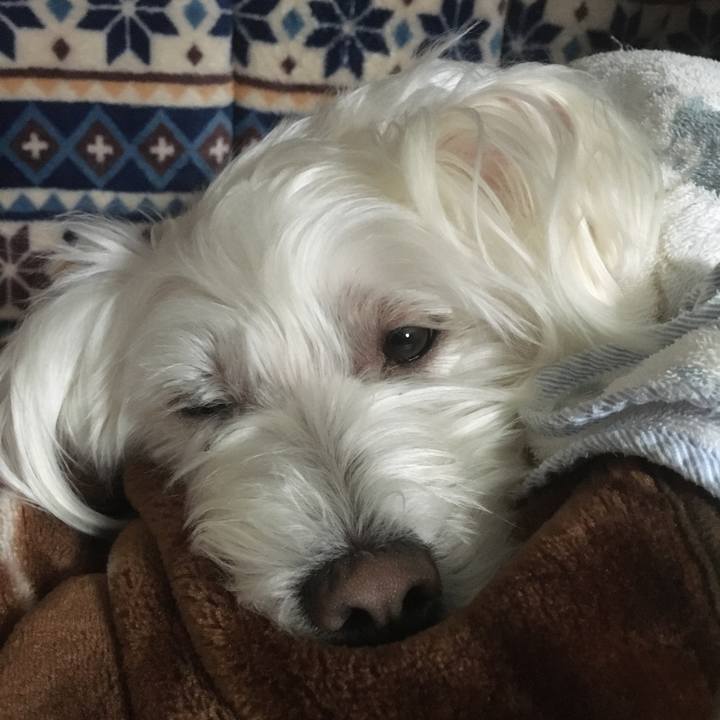 86ced8ff c163 4509 bedf bcdb44e81200 1635916600620