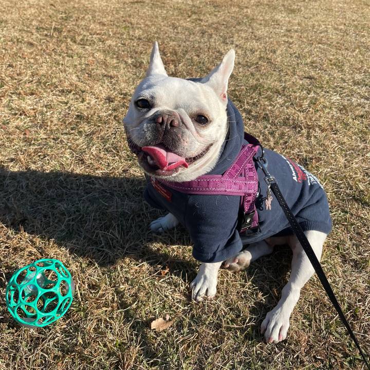 86cee6cb 064f 49cd 83c0 7b0acc49dcf9 1733614715582