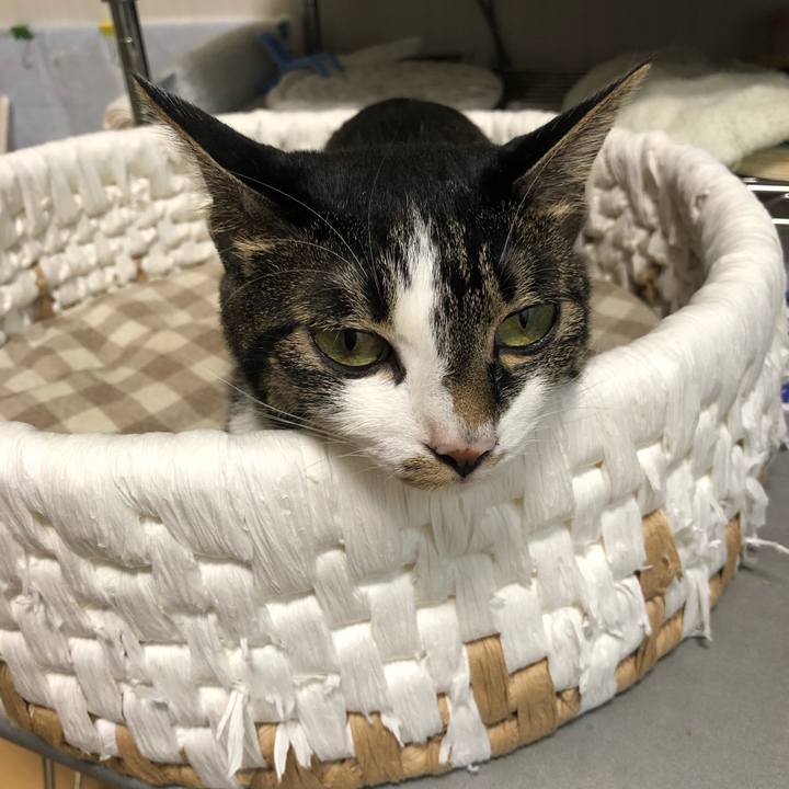 86cef816 6509 4479 94e9 f7585aaf4d59 1566266972954