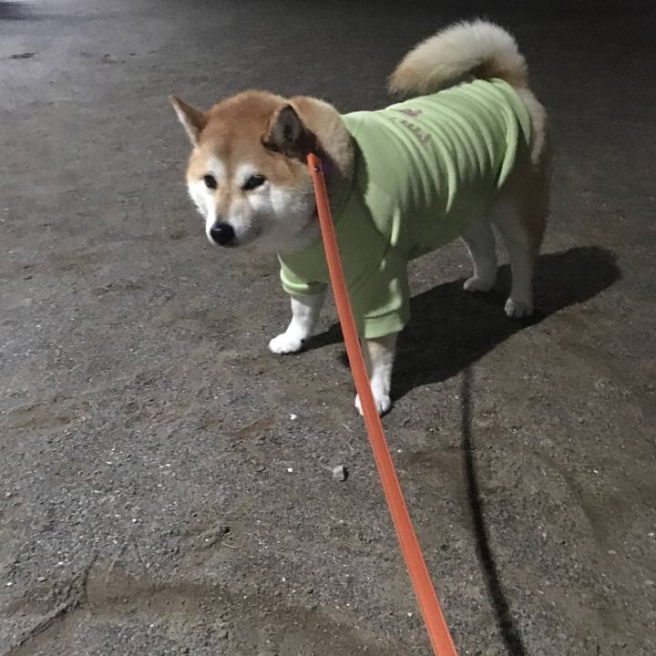 86cf51c2 2a6b 4e5f 8916 03916589c873 1577615733965