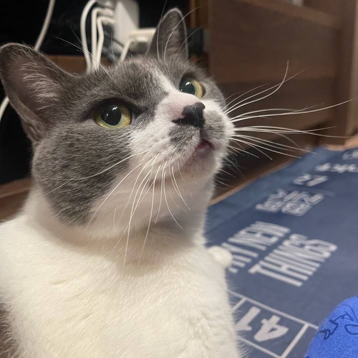 86cfa12c 2441 4c11 b2e3 237d7cd8fd3f 1724412349018