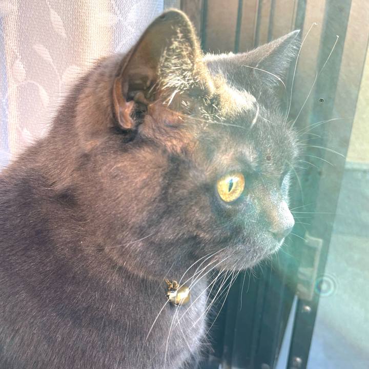 86cfbe77 0205 425d b012 a2c7e8792972 1769819025946