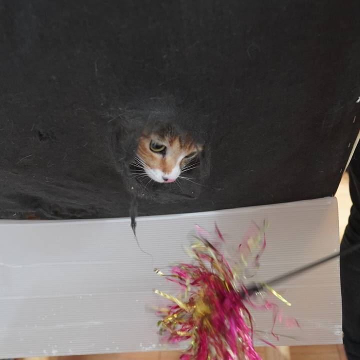 86cfc176 2904 4571 98d6 1ac110d38e71 1602337378112